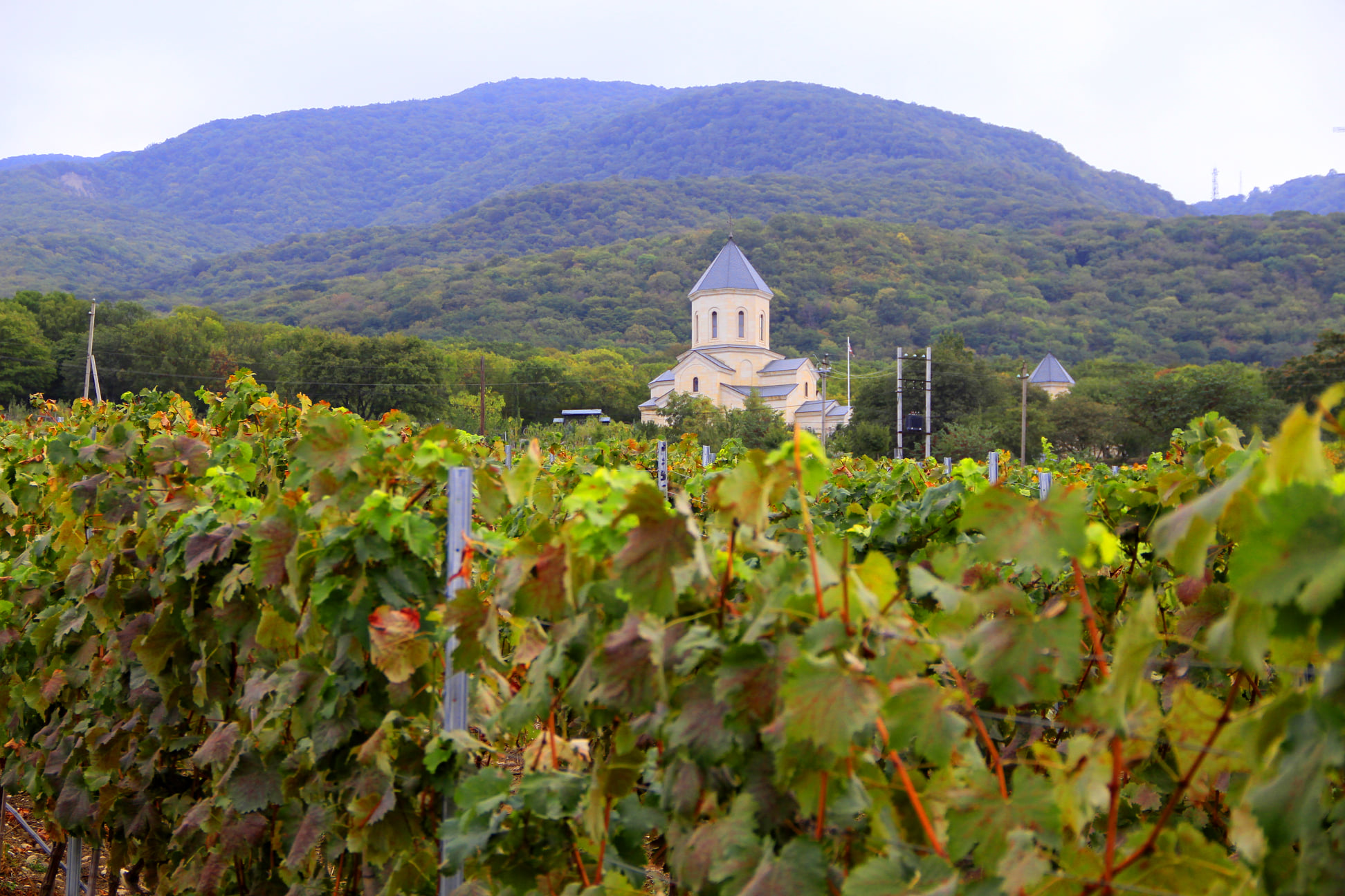 Kartvelian Autumn Landscape